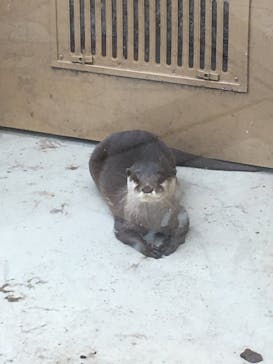 横浜・八景島シーパラダイスに投稿された画像（2020/9/29）