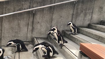 横浜・八景島シーパラダイスに投稿された画像（2020/9/29）