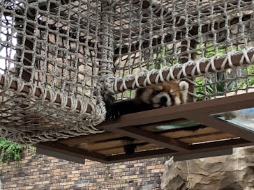 横浜・八景島シーパラダイスに投稿された画像（2020/9/29）