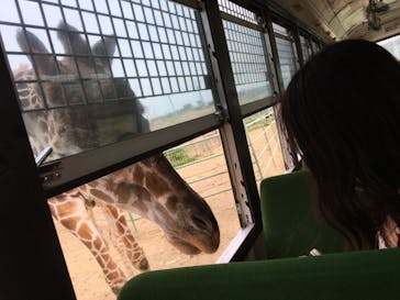 岩手サファリパークに投稿された画像（2020/9/29）