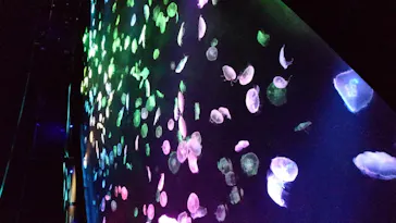 すみだ水族館に投稿された画像（2020/9/29）