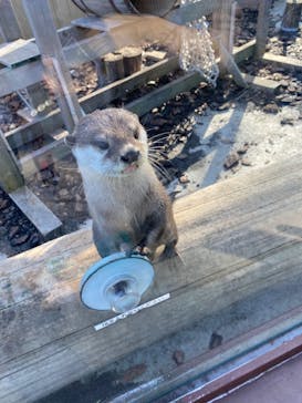 横浜・八景島シーパラダイスに投稿された画像（2020/9/29）