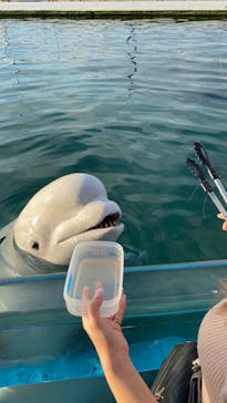 横浜・八景島シーパラダイスに投稿された画像（2020/9/29）