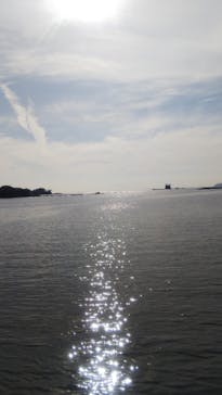 九十九島水族館海きららに投稿された画像（2020/9/29）