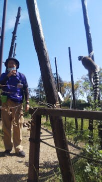 九十九島水族館海きららに投稿された画像（2020/9/29）