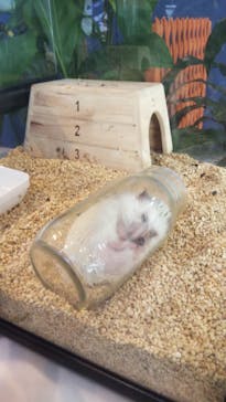 九十九島水族館海きららに投稿された画像（2020/9/29）