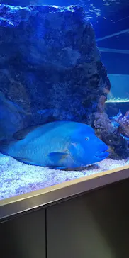 東京スカイツリーに投稿された画像（2020/9/29）