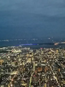 東京スカイツリーに投稿された画像（2020/9/29）