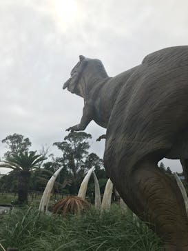 伊豆ぐらんぱる公園に投稿された画像（2020/9/29）