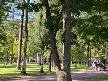 ノーザンホースパークに投稿された画像（2020/9/29）