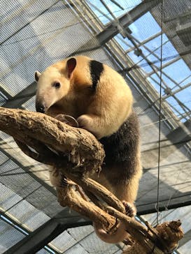 神戸どうぶつ王国に投稿された画像（2020/9/29）