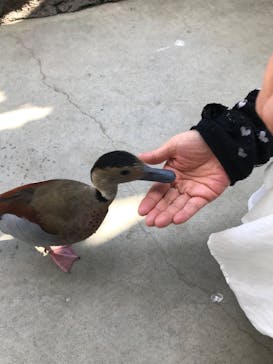 神戸どうぶつ王国に投稿された画像（2020/9/29）