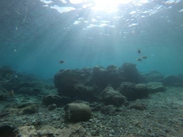 MalDive（モルダイブ）に投稿された画像（2020/9/29）