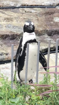 サンシャイン水族館に投稿された画像（2020/9/29）