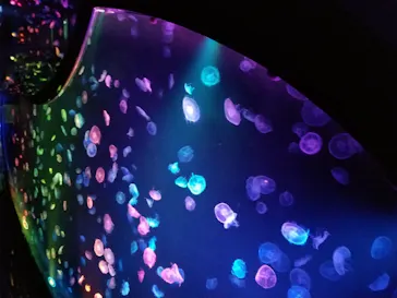 すみだ水族館に投稿された画像（2020/9/29）