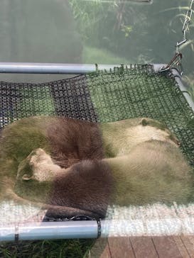 サンシャイン水族館に投稿された画像（2020/9/30）