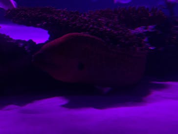 サンシャイン水族館に投稿された画像（2020/9/30）