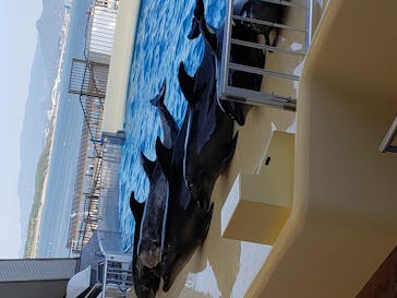 マリンワールド海の中道に投稿された画像（2020/9/30）