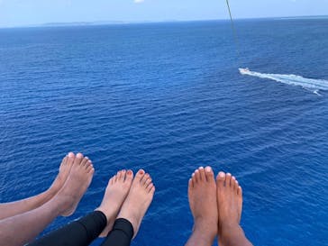 Sea World（シーワールド）に投稿された画像（2020/9/30）