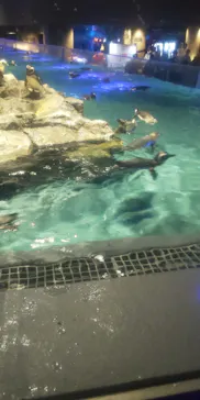 すみだ水族館に投稿された画像（2020/9/30）