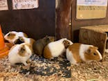 伊豆シャボテン動物公園に投稿された画像（2020/9/30）