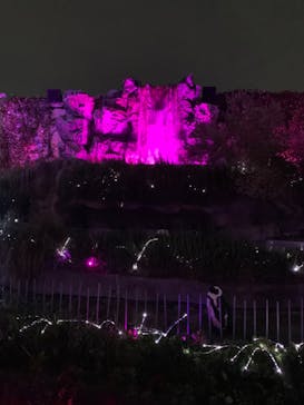 サンシャイン水族館に投稿された画像（2020/9/30）