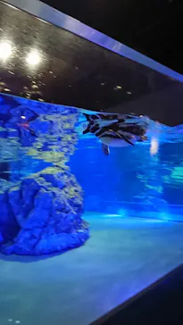 すみだ水族館に投稿された画像（2020/9/30）