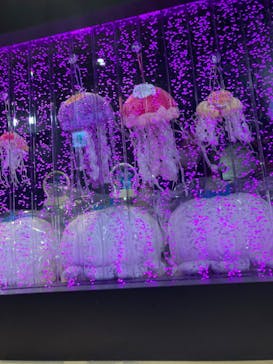 京都水族館に投稿された画像（2020/10/1）