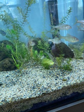 京都水族館に投稿された画像（2020/10/1）