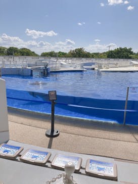 京都水族館に投稿された画像（2020/10/1）