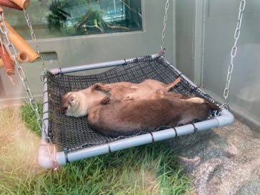 サンシャイン水族館に投稿された画像（2020/10/1）