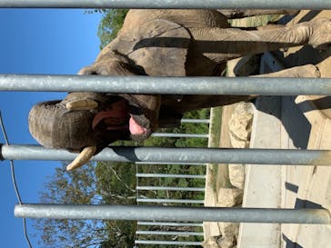 しろとり動物園に投稿された画像（2020/10/1）