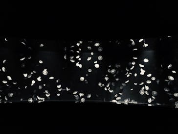 サンシャイン水族館に投稿された画像（2020/10/1）