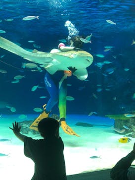 サンシャイン水族館に投稿された画像（2020/10/1）