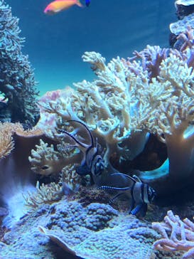 サンシャイン水族館に投稿された画像（2020/10/1）