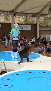 サンシャイン水族館に投稿された画像（2020/10/2）