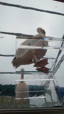 サンシャイン水族館に投稿された画像（2020/10/2）