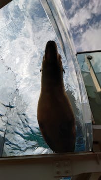 サンシャイン水族館に投稿された画像（2020/10/2）