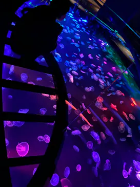 すみだ水族館に投稿された画像（2020/10/2）