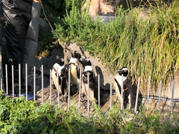 サンシャイン水族館に投稿された画像（2020/10/2）