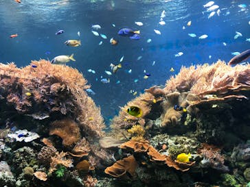 株式会社Gに投稿された画像（2020/10/2）