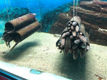 株式会社Gに投稿された画像（2020/10/2）