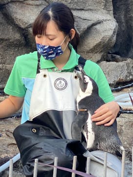 サンシャイン水族館に投稿された画像（2020/10/2）