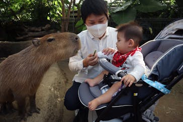 神戸どうぶつ王国に投稿された画像（2020/10/2）