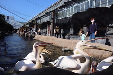 神戸どうぶつ王国に投稿された画像（2020/10/2）