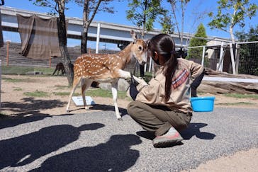 神戸どうぶつ王国に投稿された画像（2020/10/2）