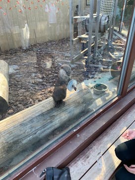 横浜・八景島シーパラダイスに投稿された画像（2020/10/2）