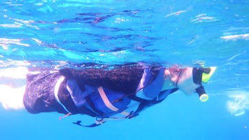 Sea World（シーワールド）に投稿された画像（2020/10/2）