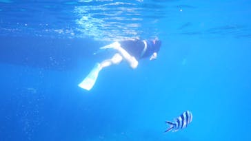 Sea World（シーワールド）に投稿された画像（2020/10/2）