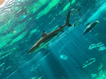 株式会社Gに投稿された画像（2020/10/2）